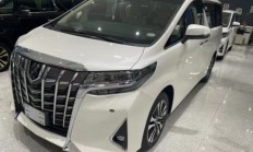 埃尔法亚洲版 全部在售 2024款 2023款 2022款